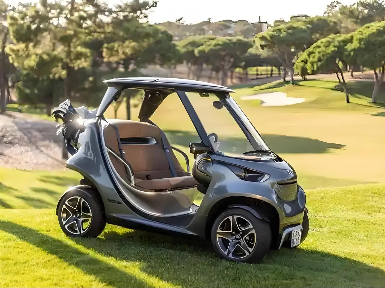 Golf Carts Golf Carts